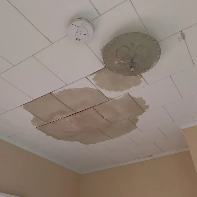 Ceiling Water Damage Repair in North Logan, UT