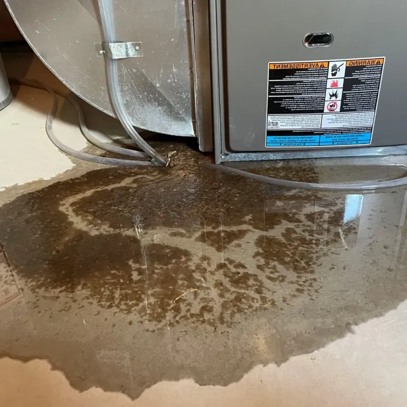 Pipe Burst and Leak Restoration in North Logan, UT